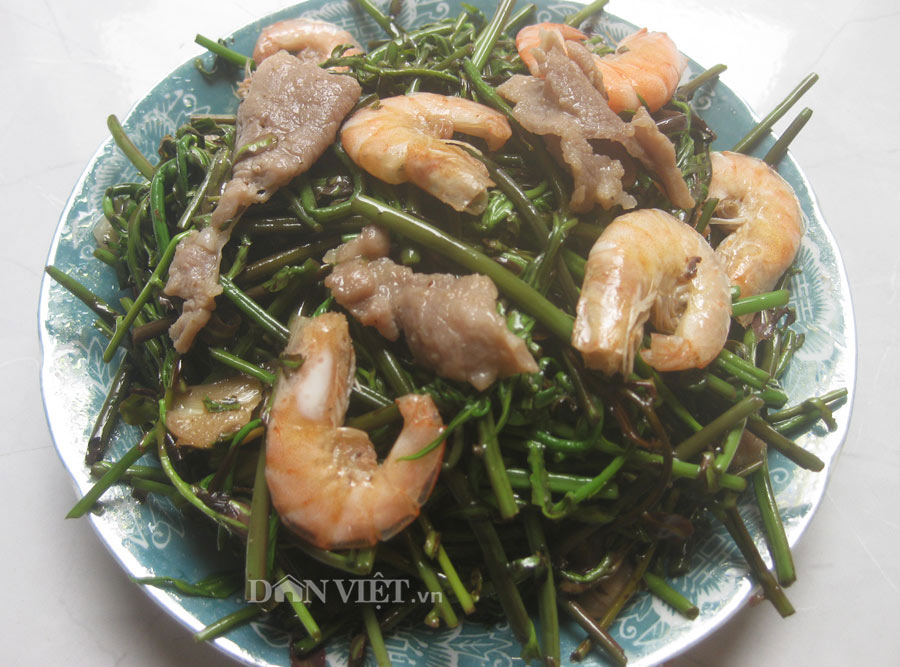 Đọt choại - món rau rừng “thời thượng“