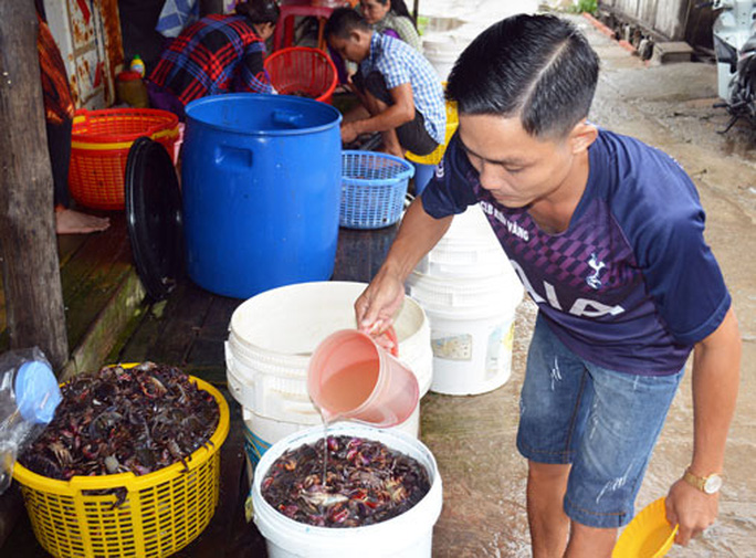 Cơ hội cho nghề truyền thống thăng hoa