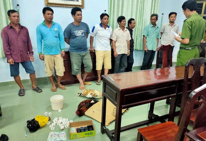 Bạc Liêu: Triệt phá sân gà Phúc Heo, khống chế 8 đối tượng