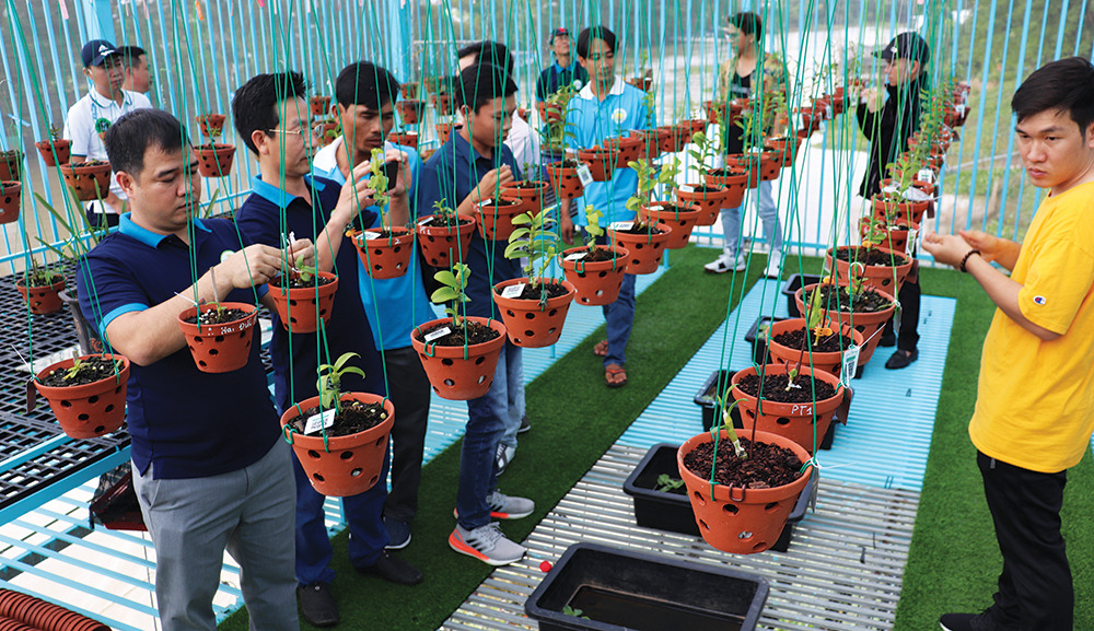 Kỳ vọng về thị trường rộng mở cho hoa lan