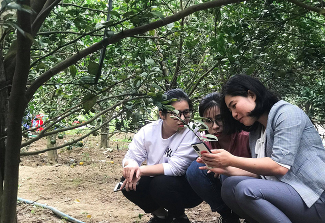 Cô gái trẻ nhạy bén tìm "chỗ thoáng" trong hành trình đưa nông sản Đăk Lăk ra biển lớn