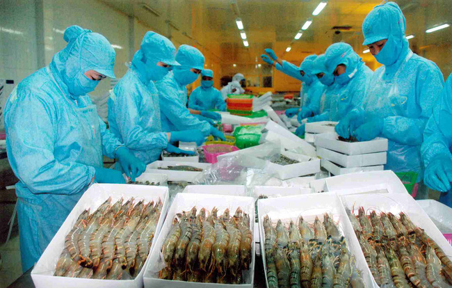Việt Nam tham vọng xuất khẩu thủy sản 16 tỷ USD vào năm 2030