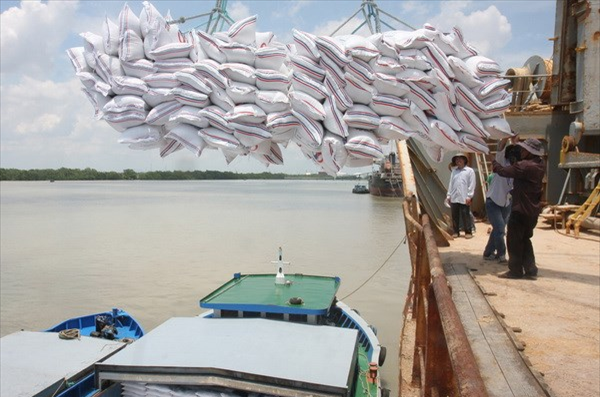 Bảo đảm tiêu thụ lúa gạo với giá có lợi nhất trong năm 2021