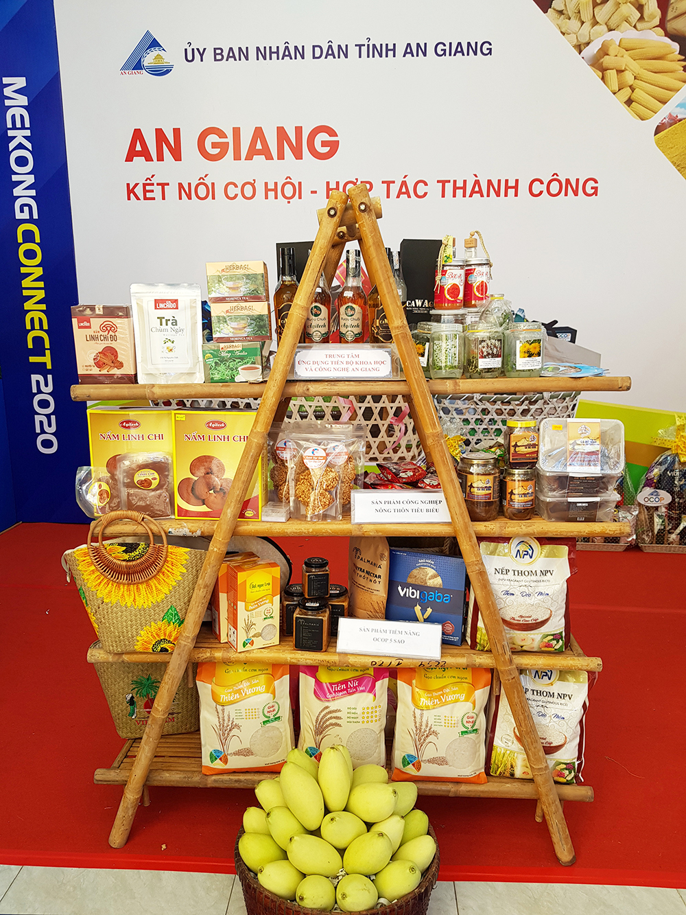 An Giang khai thác tốt Mekong Connect