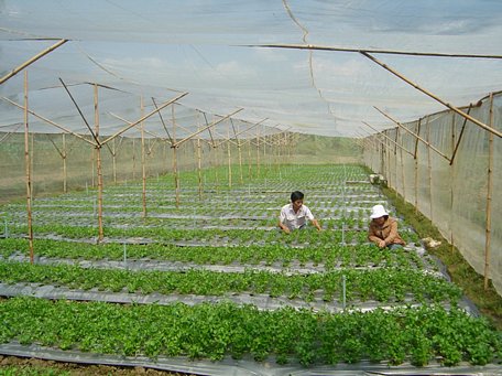 Những thành tựu công nghệ, kỹ thuật thủy lợi Vĩnh Long