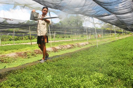 Chuẩn bị hành trình "chạy bền" trong năm 2021