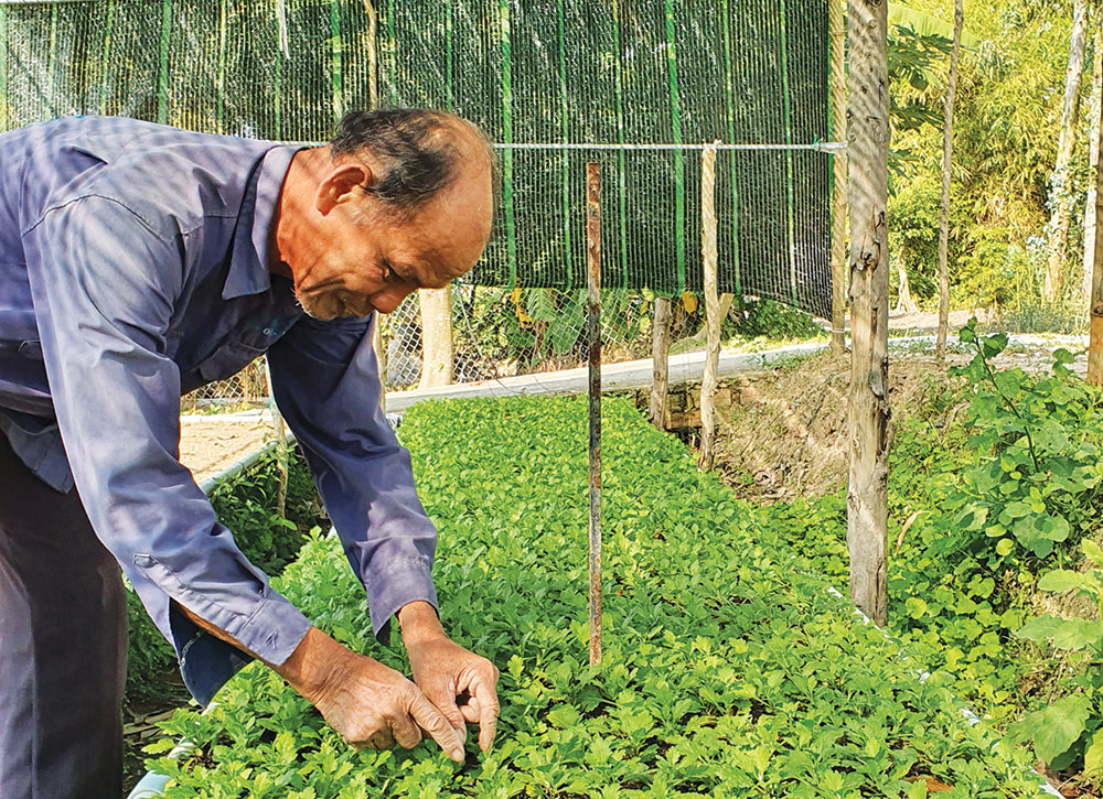 Tất bật cho vụ Tết