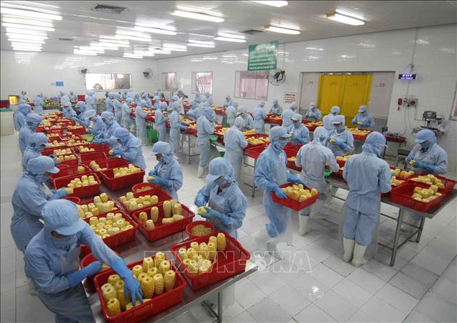 Hiệp định RCEP: Cơ hội phát triển chuỗi giá trị nông sản Việt ra thế giới