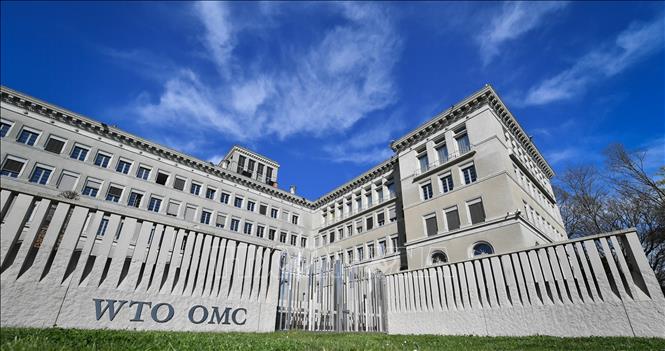 Lạc quan thận trọng với triển vọng thương mại toàn cầu năm 2021