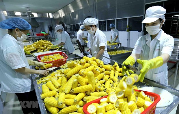 Kinh tế Việt Nam 2021: Động lực tăng trưởng là tổng hòa nhiều yếu tố