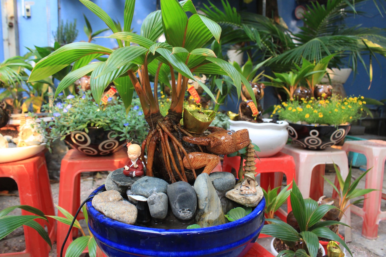 Tết Tân Sửu: Biến quả dừa khô thành bonsai hình trâu, giá tiền triệu mà khách đặt mua tới tấp