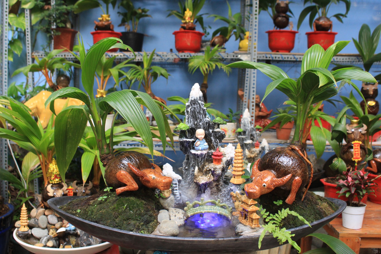 Tết Tân Sửu: Biến quả dừa khô thành bonsai hình trâu, giá tiền triệu mà khách đặt mua tới tấp