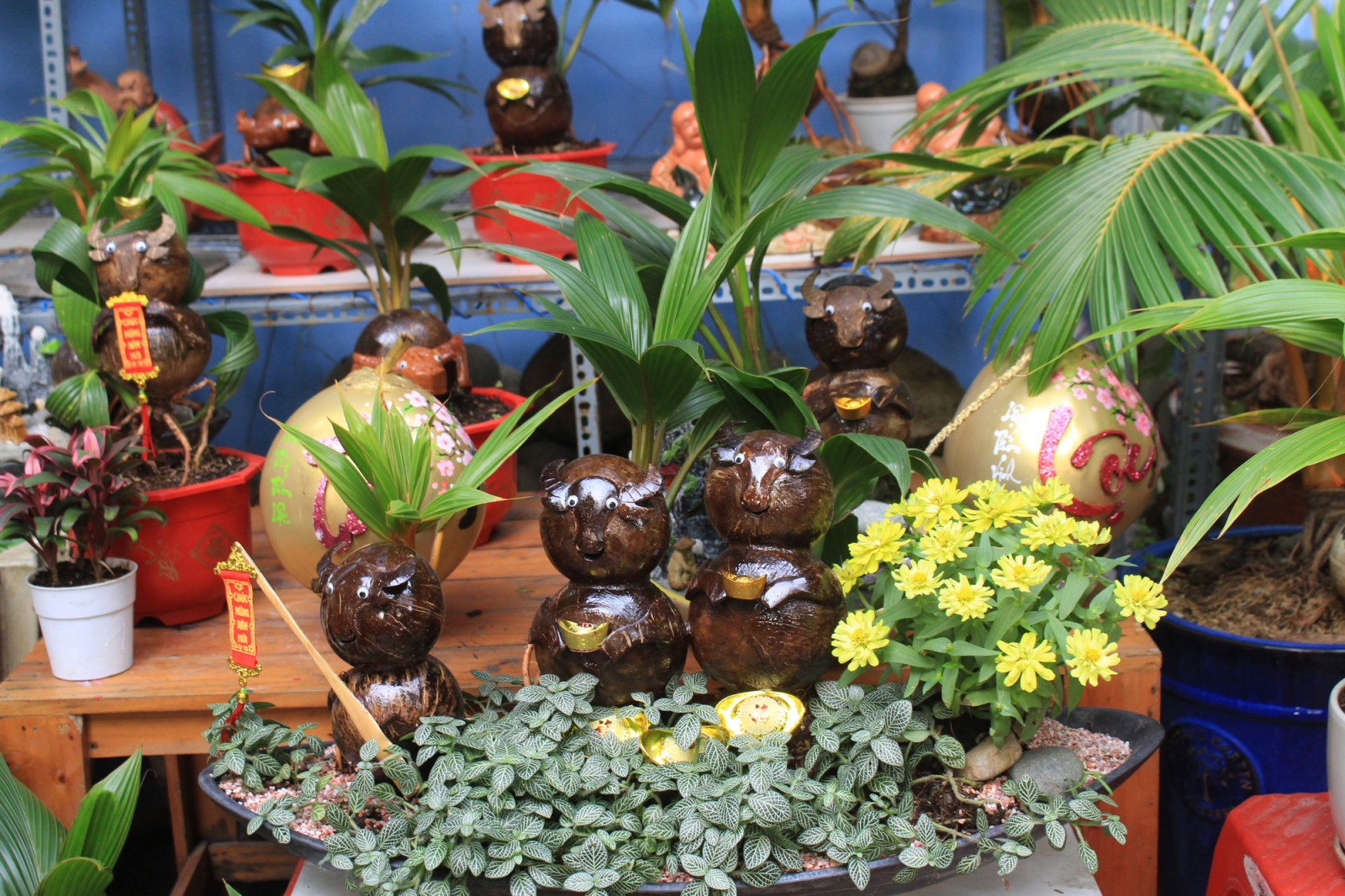 Tết Tân Sửu: Biến quả dừa khô thành bonsai hình trâu, giá tiền triệu mà khách đặt mua tới tấp