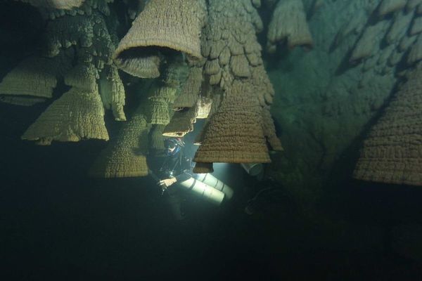 Bí ẩn hang động chứa đầy 'chuông tử thần' ở Mexico