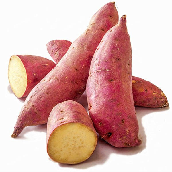 Sáu loại thực phẩm rất tốt cho gan của bạn