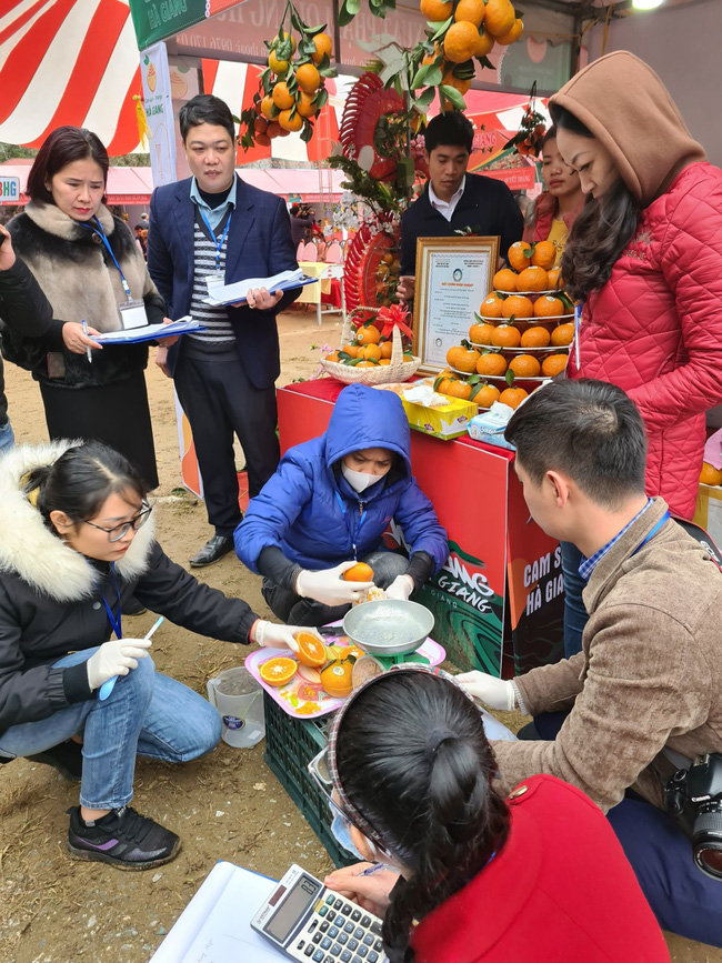 Chỉ cần dán tem này lên, cam sành Hà Giang bán giá cao gấp đôi