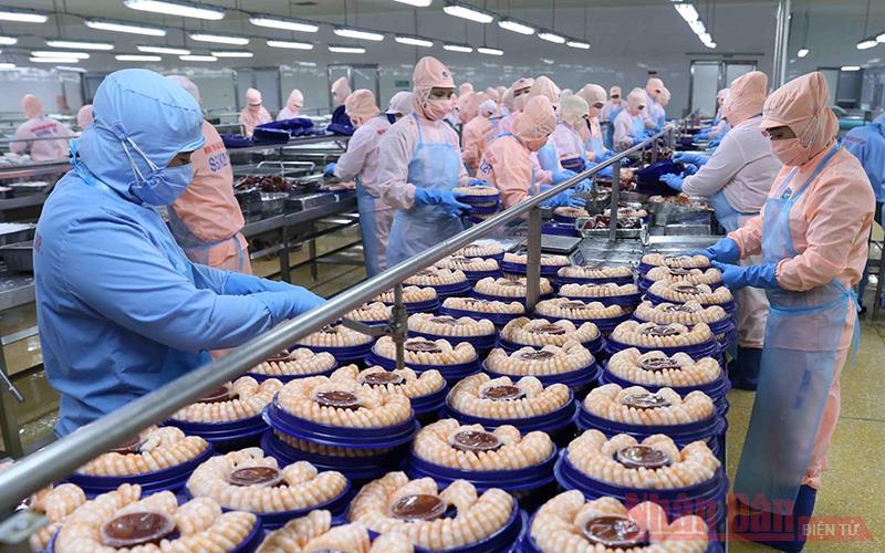 Tận dụng hiệu quả các “cao tốc” FTA