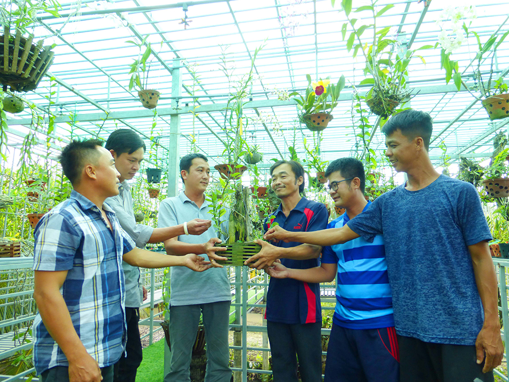 Thú chơi hoa “vua”