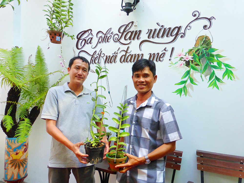 Thú chơi hoa “vua”