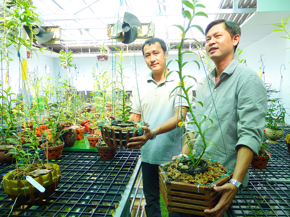 Thú chơi hoa “vua”