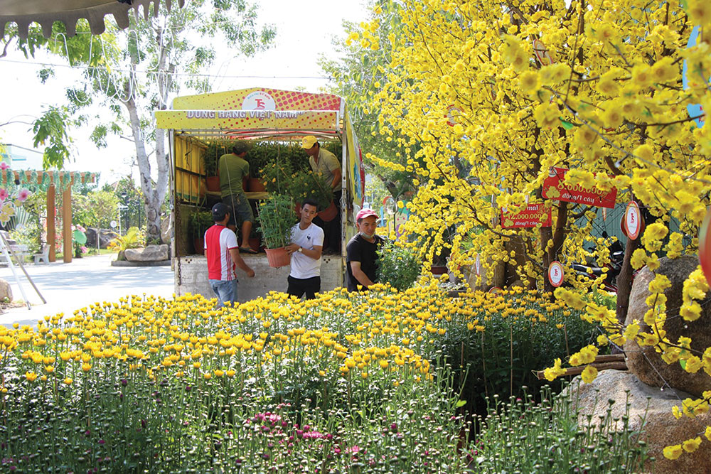 Hình ảnh chợ hoa xứ Huế rực rỡ sắc màu những ngày giáp Tết