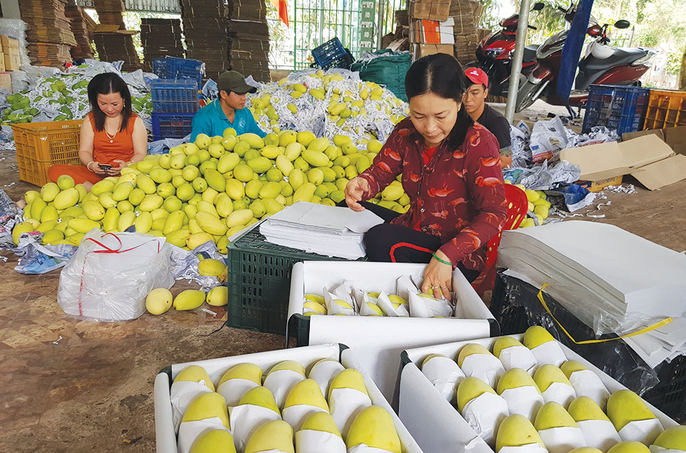 Chợ Mới đổi thay vùng đất thép