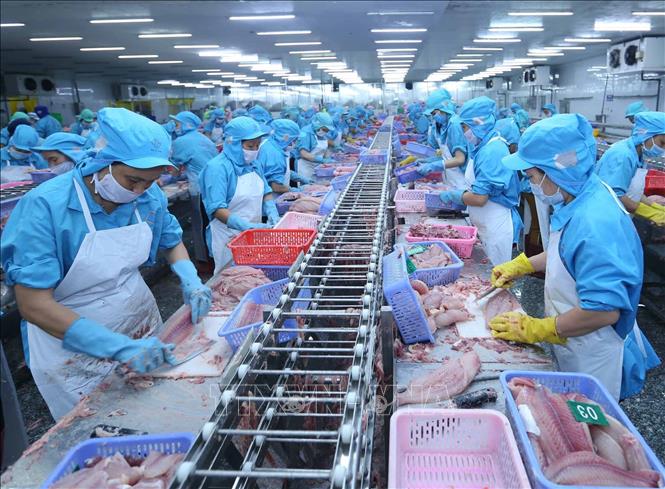Xuất khẩu nông lâm thủy sản tăng tốc ngay từ đầu năm