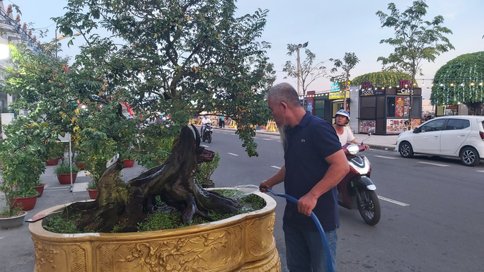 Chiêm ngưỡng cây khế hình đầu trâu giá nửa tỉ đồng