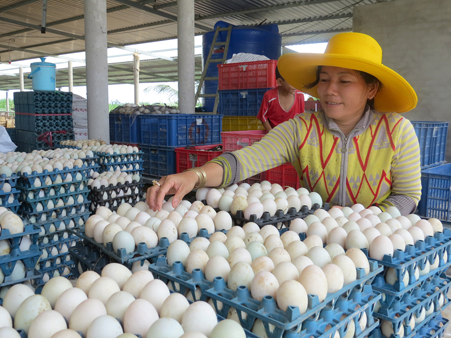 Đồng Tháp: Dấu ấn sau 5 năm tái cơ cấu nông nghiệp