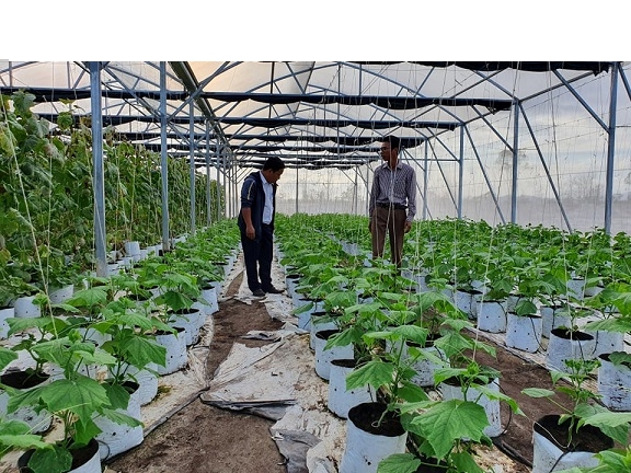 Hướng phát triển của du lịch bền vững
