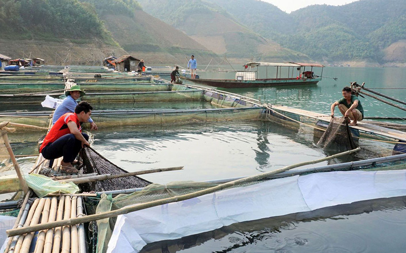 Lai Châu thay đổi nhận thức của người dân trong sản xuất nông nghiệp