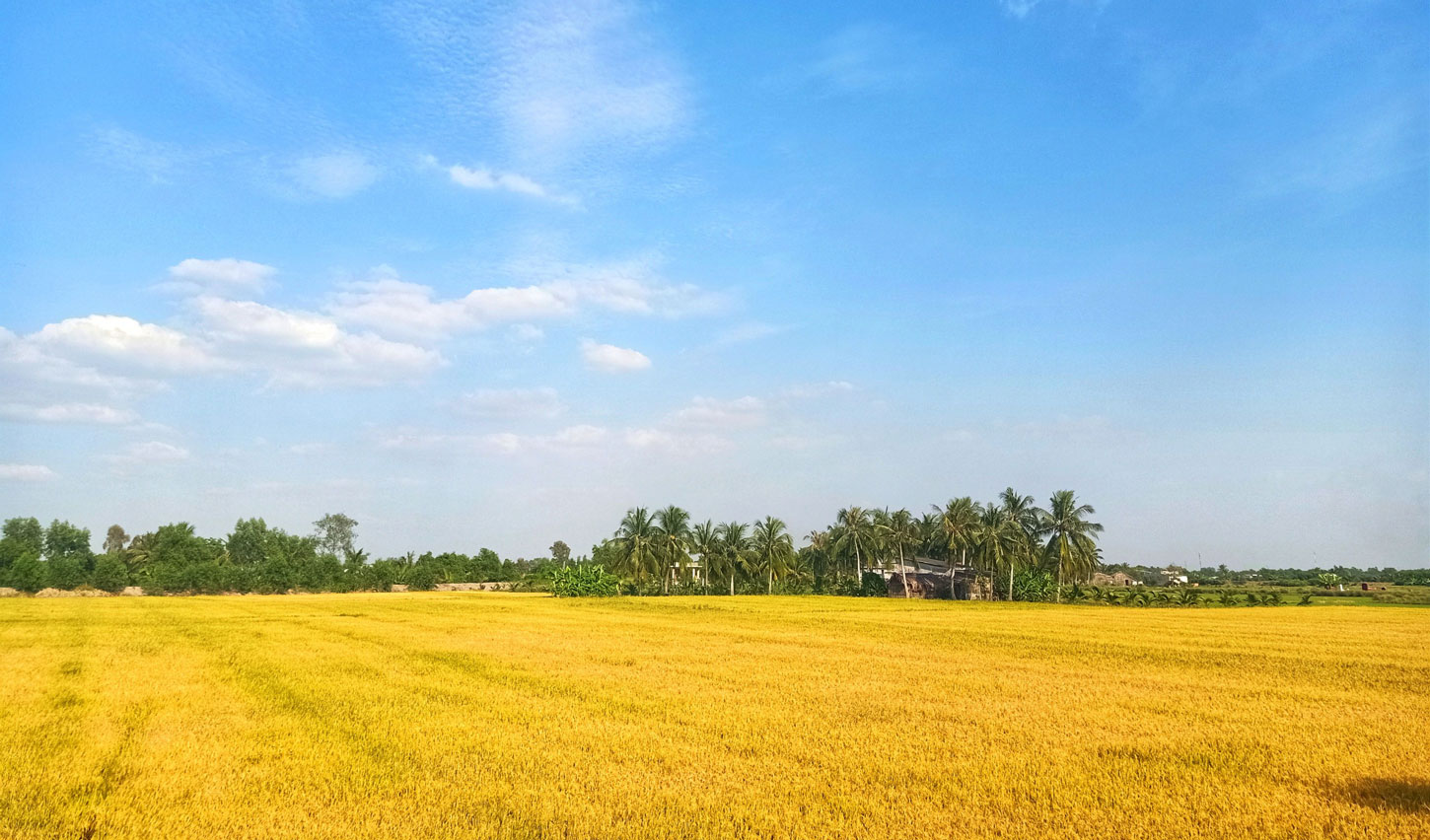 Làng quê Long An qua góc nhìn lữ khách