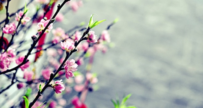 Vì sao tháng 1 âm lịch được gọi là tháng Giêng?