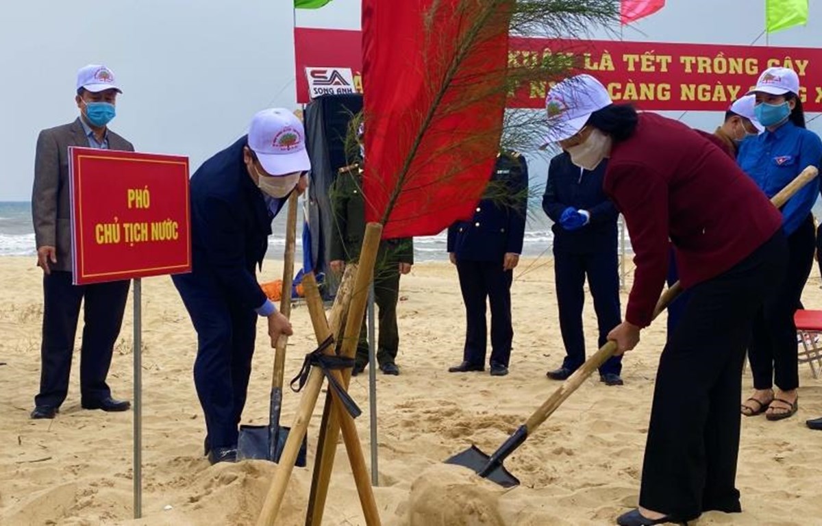 Phó Chủ tịch nước phát động 'Tết trồng cây đời đời nhớ ơn Bác Hồ'