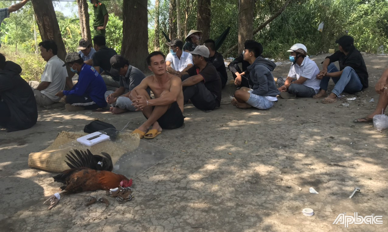 Tiền Giang: Triệt phá trường gà, bắt giữ 21 đối tượng