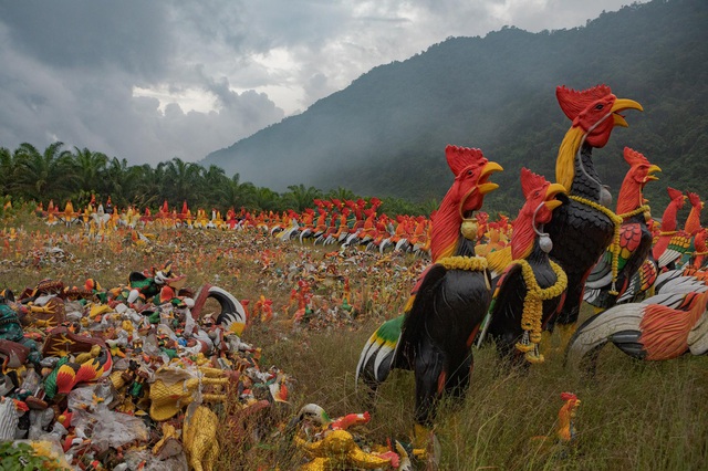 Ngôi chùa khách đến thăm dâng toàn tượng gà, chất đống thành nghĩa địa