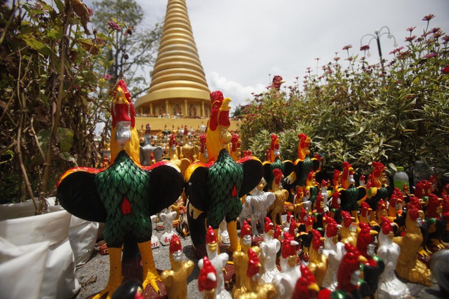 Ngôi chùa khách đến thăm dâng toàn tượng gà, chất đống thành nghĩa địa