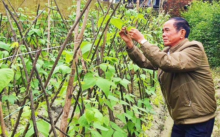 Lan tỏa tinh thần “đảng viên đi trước”