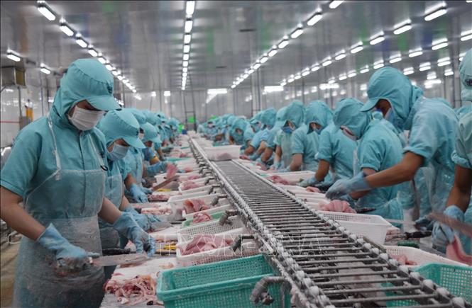 Nhu cầu tiêu thụ thủy sản được dự báo sẽ hồi phục mạnh mẽ