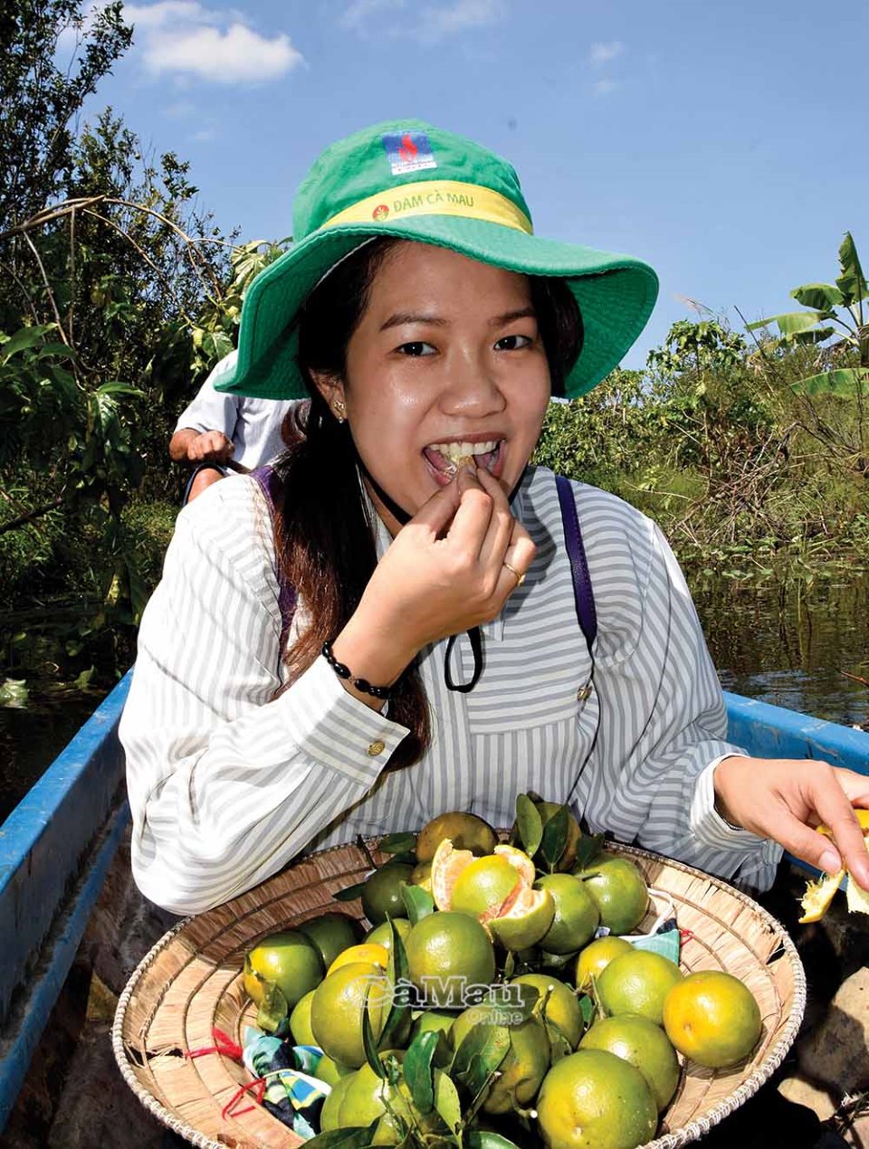 Dưới tán rừng U Minh