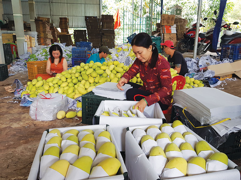 Tín hiệu vui cho thị trường nông sản năm 2021