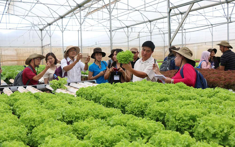 Ninh Bình ứng dụng khoa học - công nghệ vào sản xuất nông nghiệp