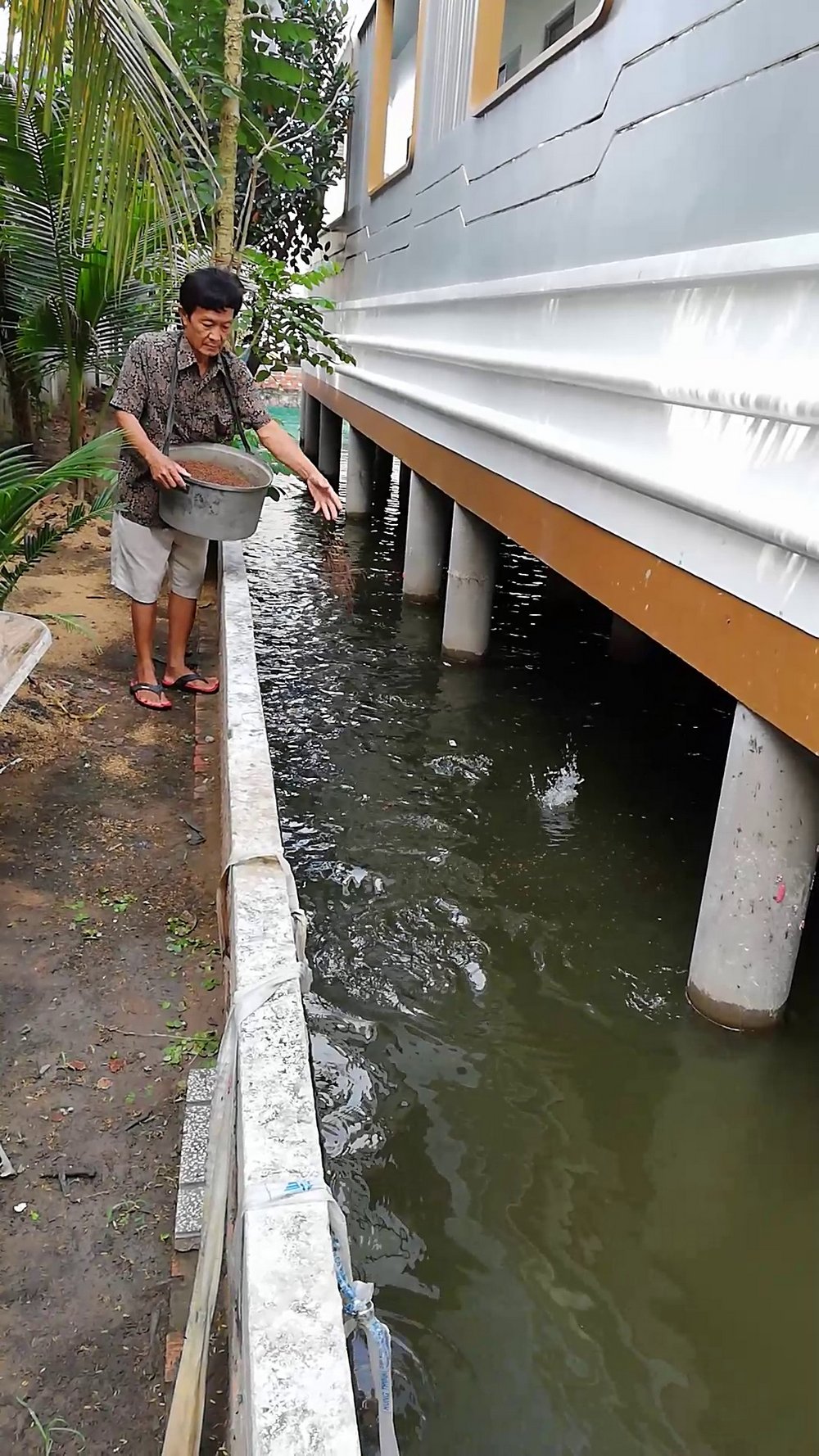 Căn nhà giống du thuyền, độc lạ nhất miền Tây