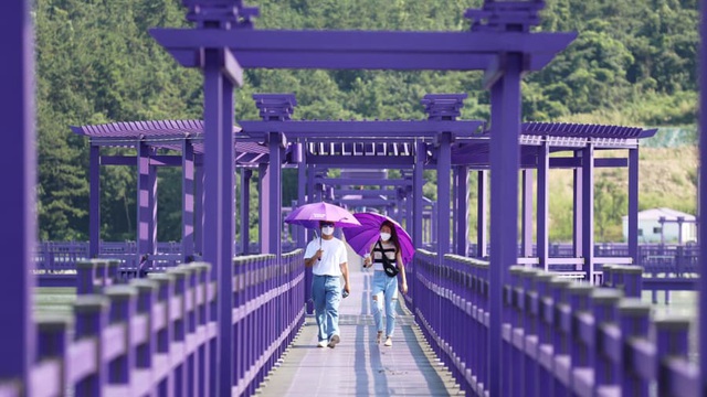 Hòn đảo vô danh bỗng chốc thành thiên đường du lịch vì được "nhuộm" tím