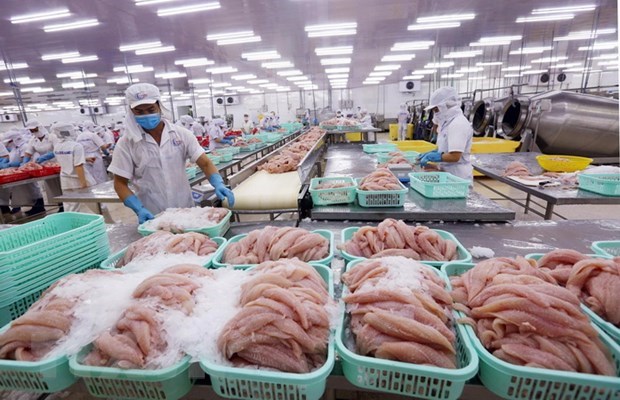 Xuất khẩu cá tra hồi phục: Nguồn cung chưa đáp ứng kịp thời