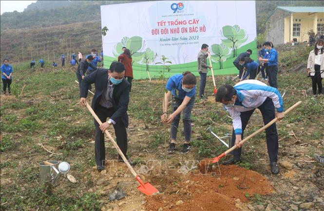 Nét đẹp Tết trồng cây mang lại màu xanh cho đất nước