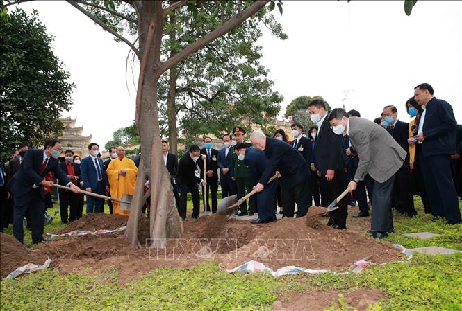 Nét đẹp Tết trồng cây mang lại màu xanh cho đất nước