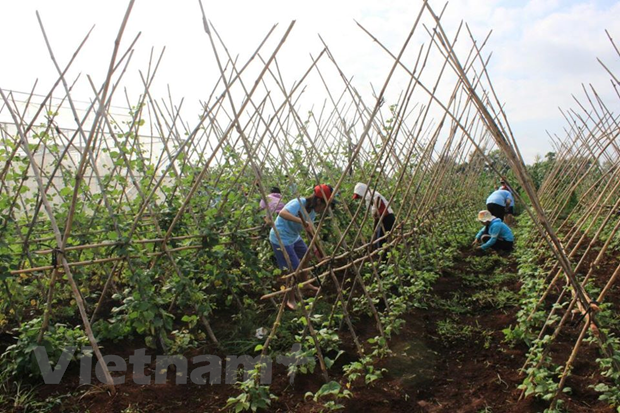 CPI tháng Hai tăng 1,52% và đạt mức cao nhất trong 8 năm qua
