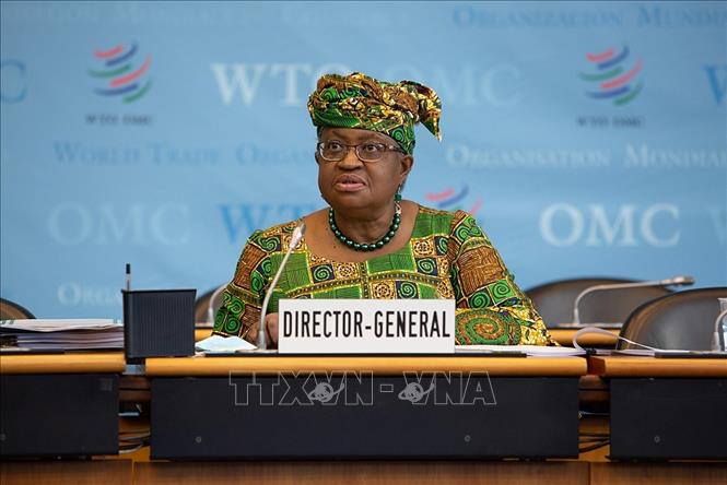 Tân Tổng giám đốc WTO chia sẻ những ưu tiên chính sách