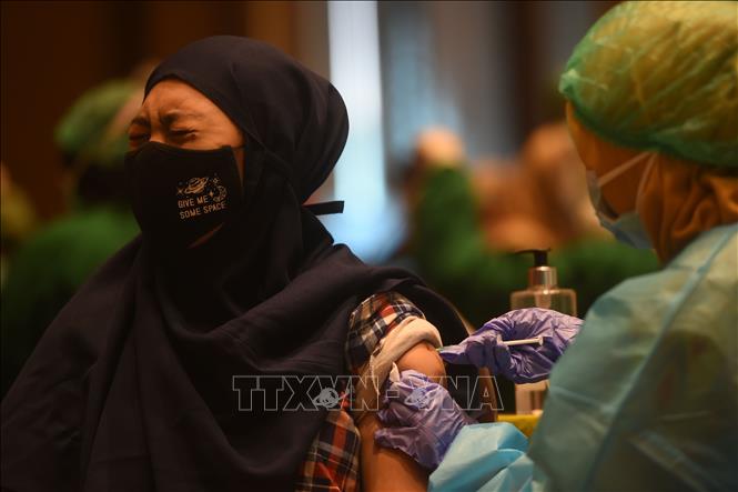 Toàn thế giới đã ghi nhận trên 115,1 triệu ca nhiễm virus SARS-CoV-2